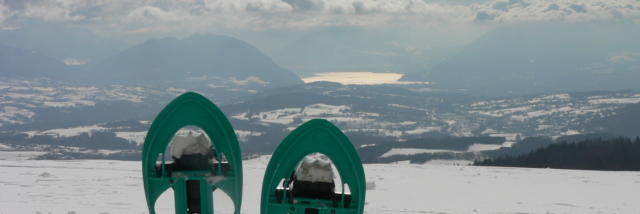 Raquette dans le Salève