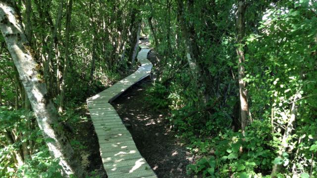 Sentiero Natura Vuache