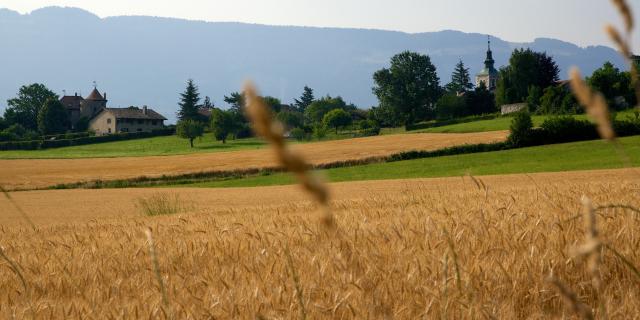 Vista de la iglesia de Thairy