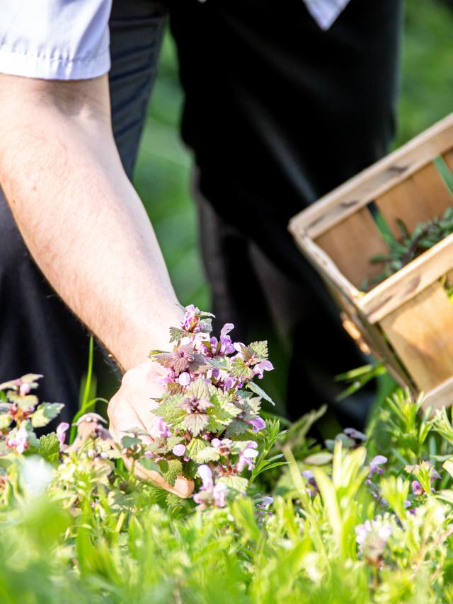 Passeggiate di selezione Galleria 2