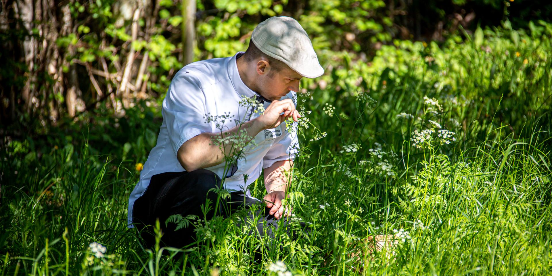 Passeggiata di raccolta Refuge Des Gourmets Titolo immagine