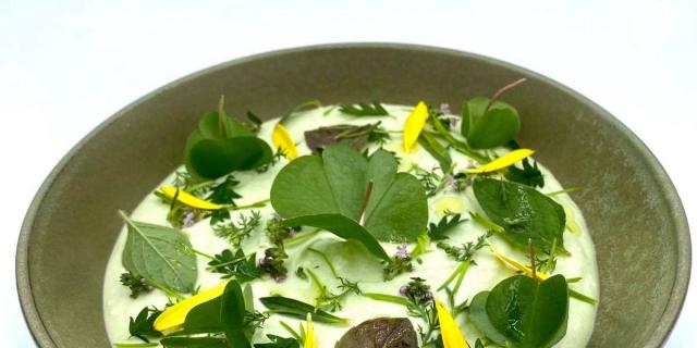 Formaggio fresco di capra cremoso con erbe aromatiche