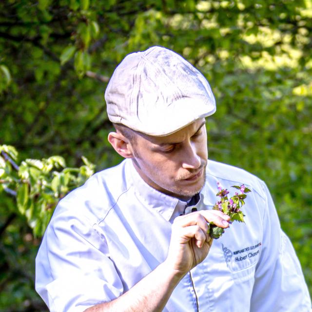 Ritratto Hubert Chanove cueillette