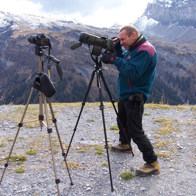 Osservazione della fauna selvatica