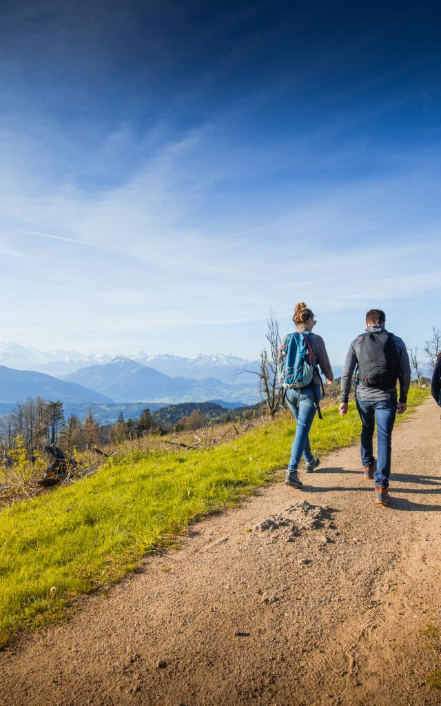 Vista de los Alpes desde Les Voirons