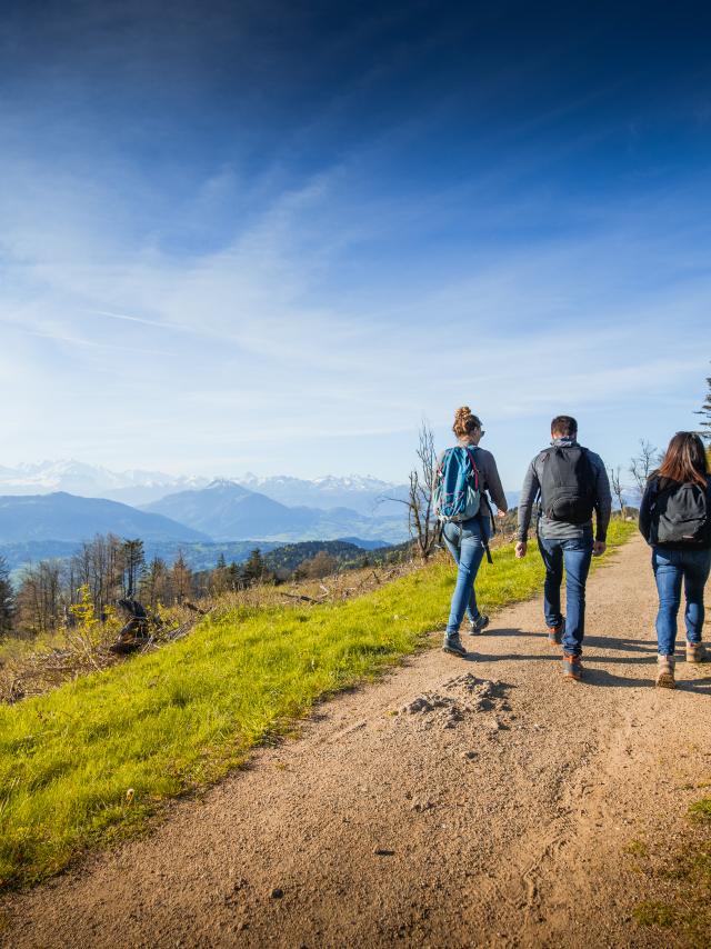 View of the Alps from the Voirons