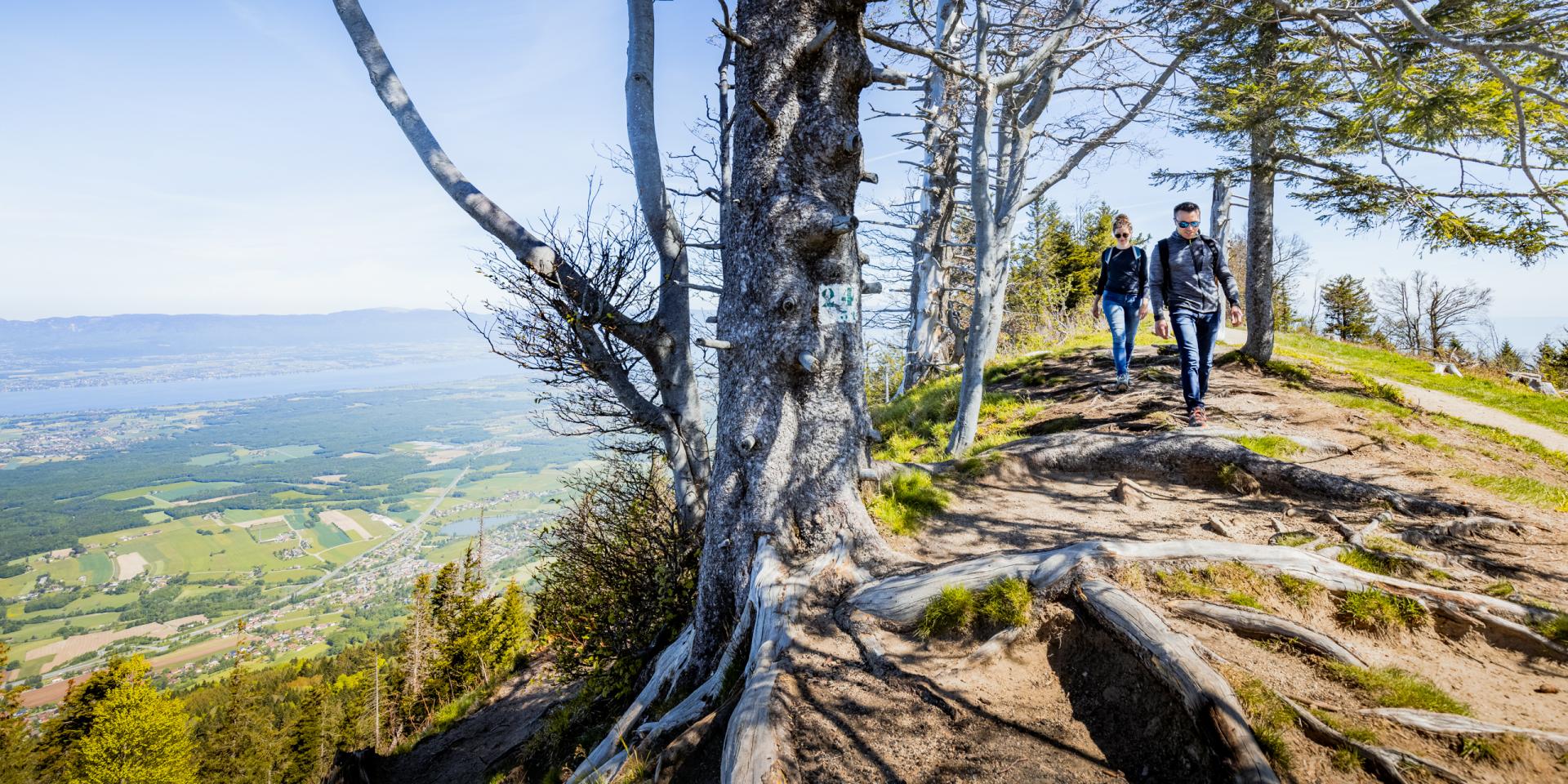 Escursione con gli amici sulla cresta di Voirons.