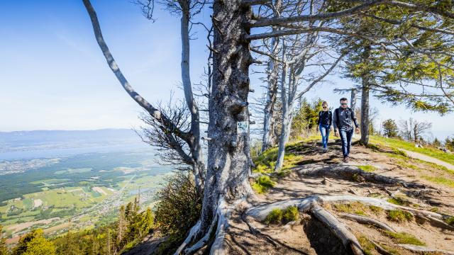 Randonnée entre amis sur la crête des Voirons.