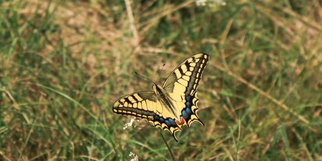 Destination engagée