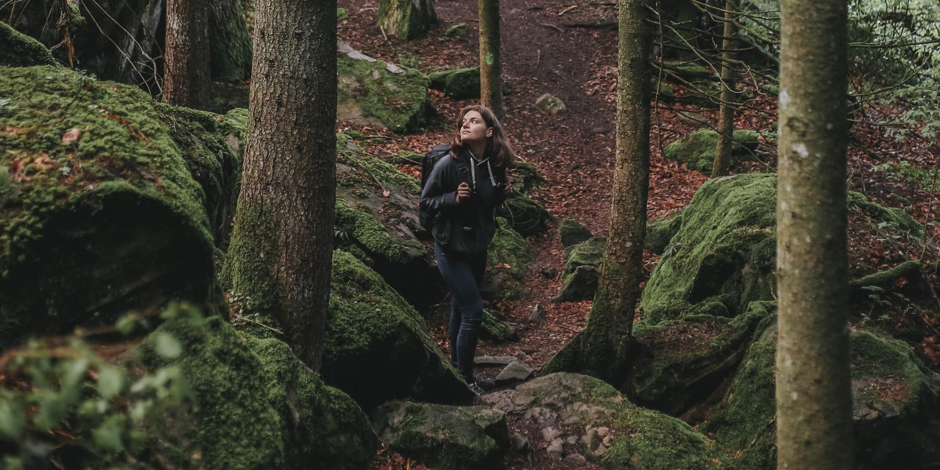 Personne dans les bois aux Voirons