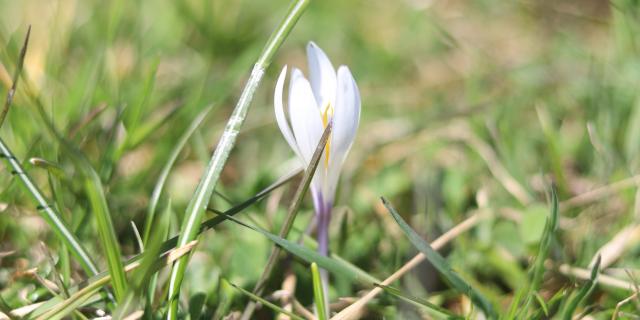 Destination engagée