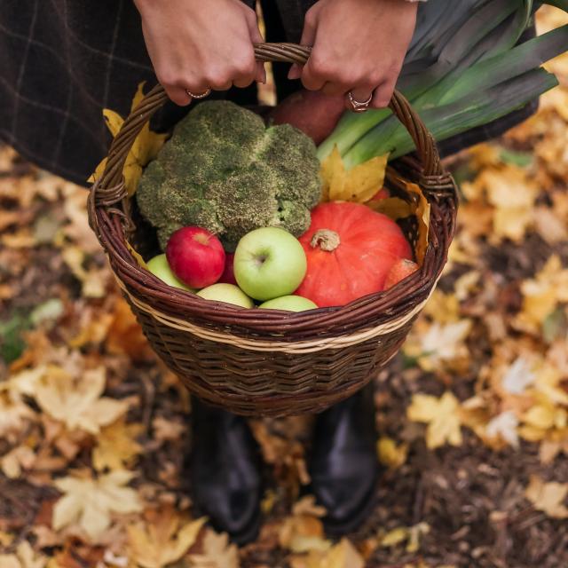 Le marché de producteurs