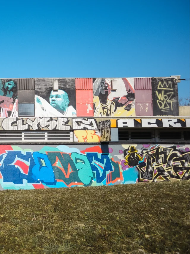 Affresco Gymnase du Léman @Wozdat, Rue du Salève