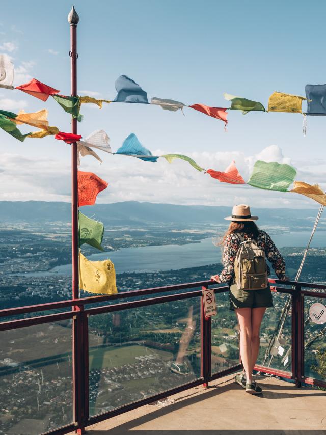 Trasferimento dei diritti WEB 5 anni