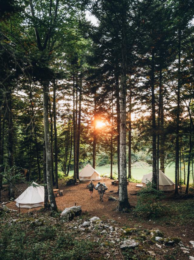 Trasferimento dei diritti WEB 5 anni