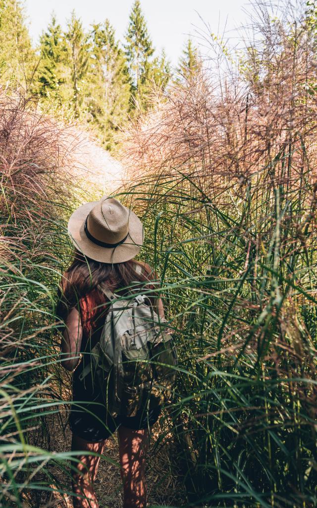La ferme de Chosal - Der Lehrpfad Natur & Sinne