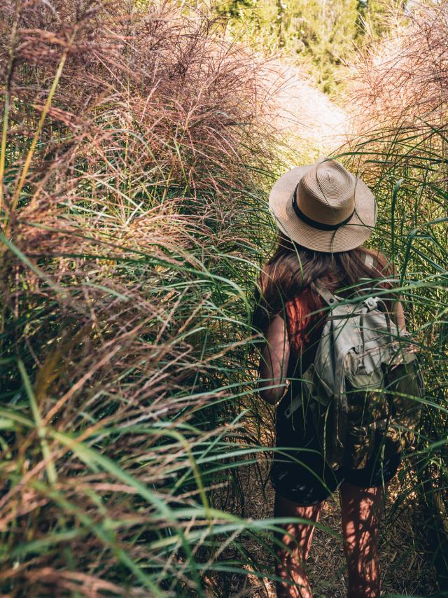 Trasferimento dei diritti WEB 5 anni
