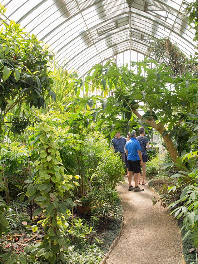 Giardino botanico di Ginevra