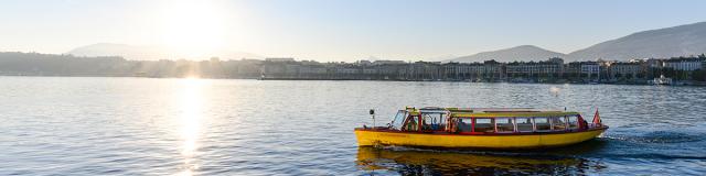 I gabbiani di Ginevra