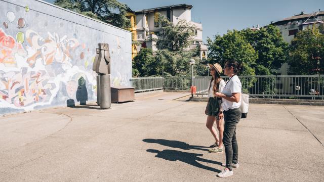 Trasferimento dei diritti WEB 5 anni