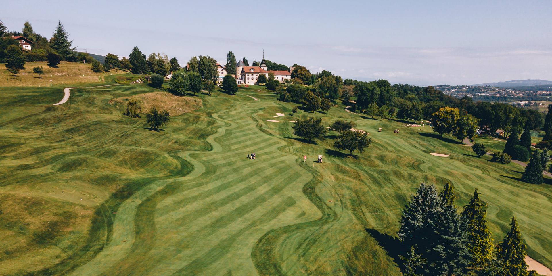 Trasferimento dei diritti WEB 5 anni