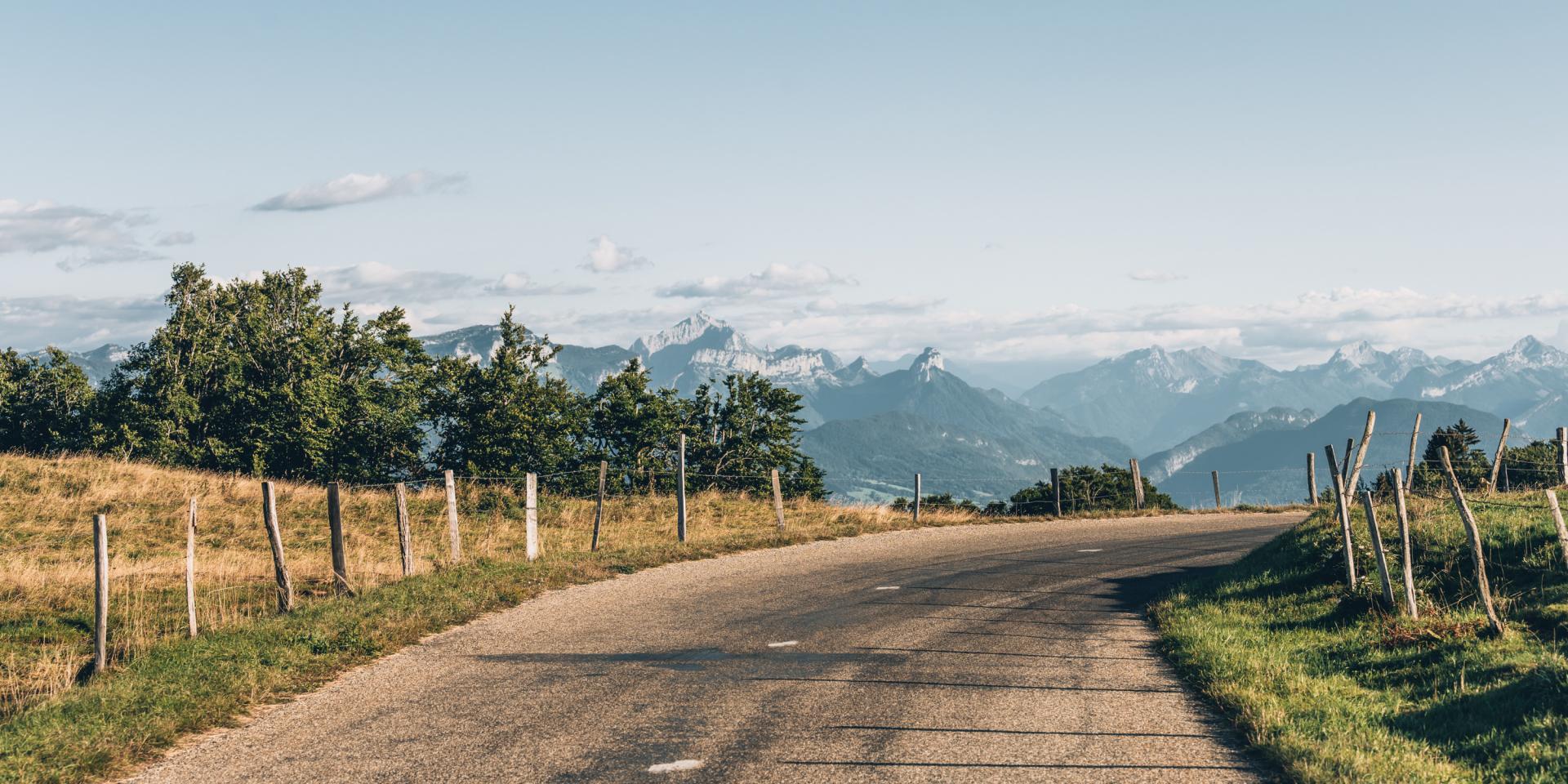 Trasferimento dei diritti WEB 5 anni