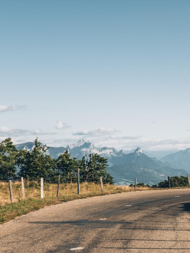 Trasferimento dei diritti WEB 5 anni