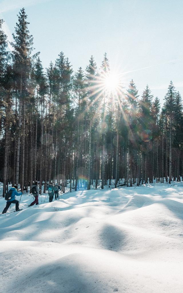 Balade en raquettes aux Voirons