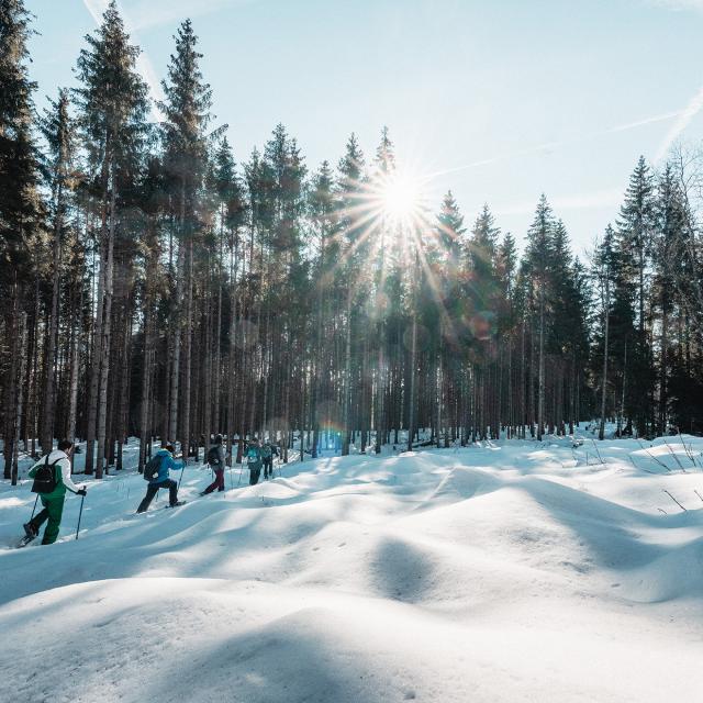 Escursioni con le racchette da neve a Les Voirons
