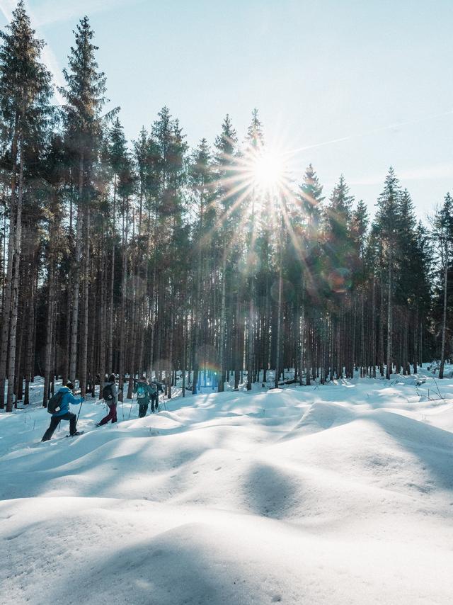 Escursioni con le racchette da neve a Les Voirons