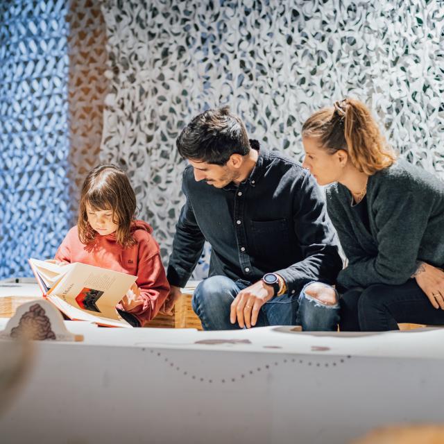 Visites & découvertes