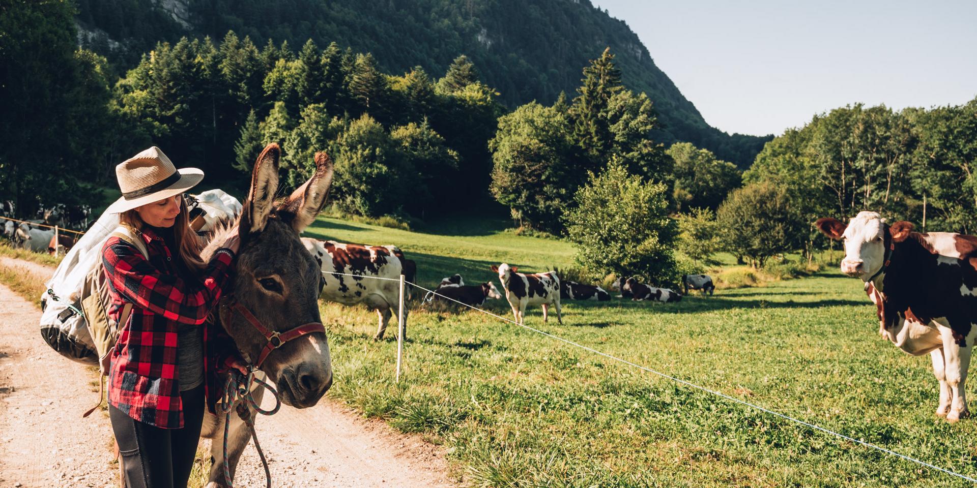 Randonnée avec les animaux