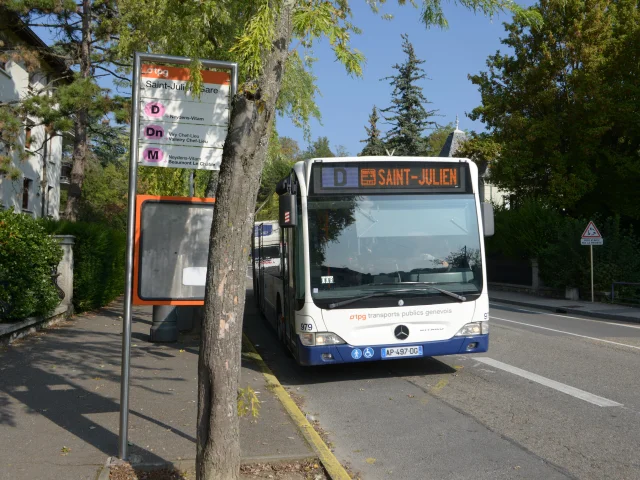 Bus TPG ligne D