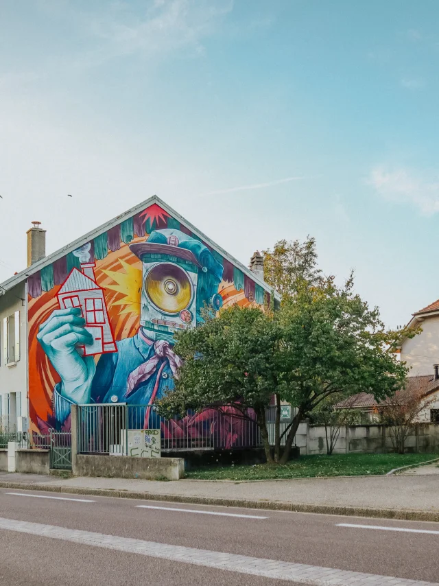 Affresco Rue du Beulet (artista Cobalt Mural)