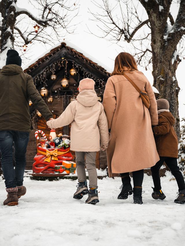 @LFremondiere_MontsdeGeneve_Winter-43