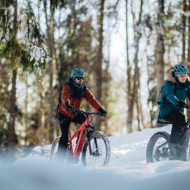 Salida en Fat Bike por la Salève