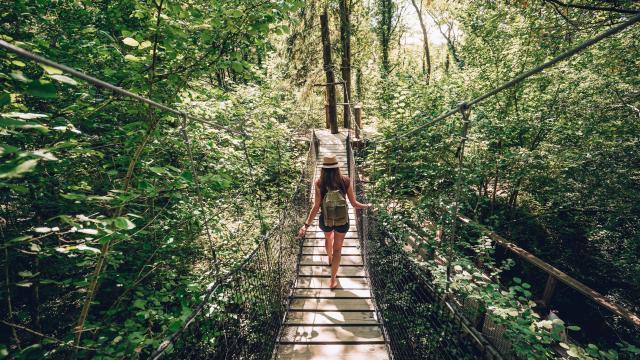 Trasferimento dei diritti WEB 5 anni