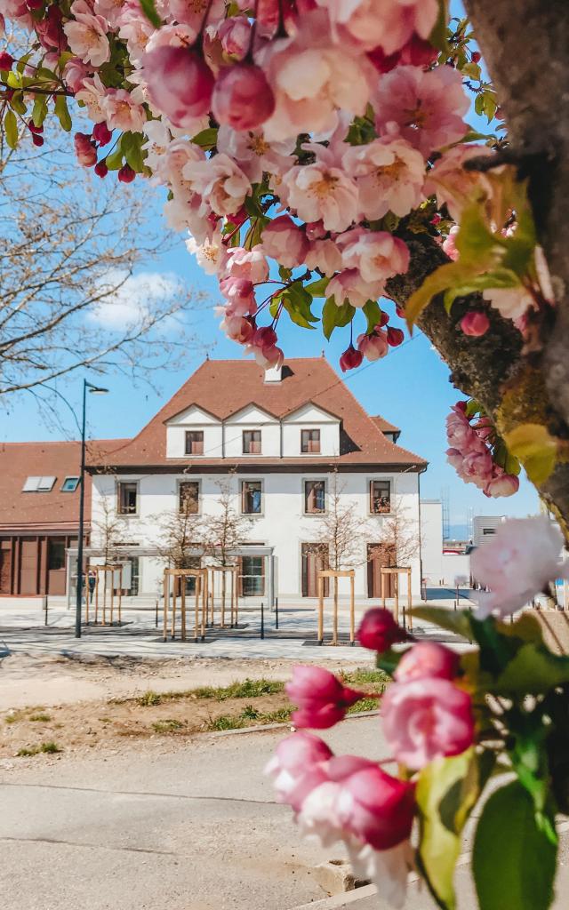 Maison De La Mobilite Et Du Tourisme A Annemasse Ot Monts du Genevois A.modylevskaia 1049