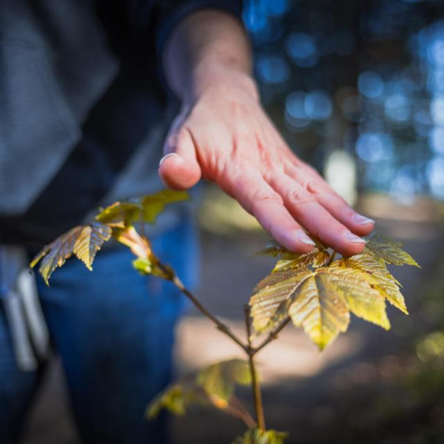 Escursioni nelle Voirons