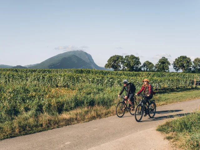 In bicicletta tra i vigneti di Carra