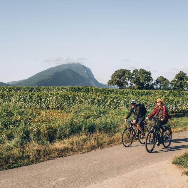 In bicicletta tra i vigneti di Carra