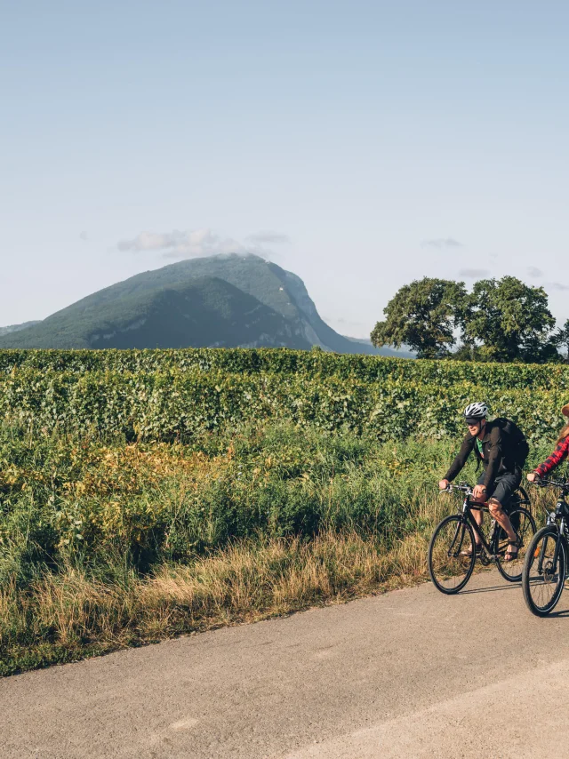 In bicicletta tra i vigneti di Carra