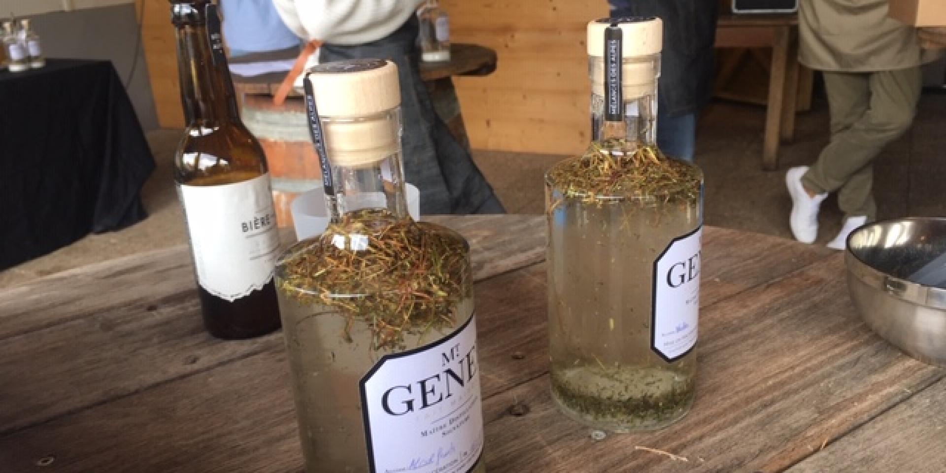 Fabrication Genepi