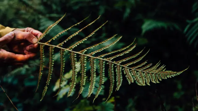 Accueil Influenceur-Worldelse-Sept23