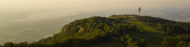 Noche de luna llena Alpcat Medias 1375 1400px