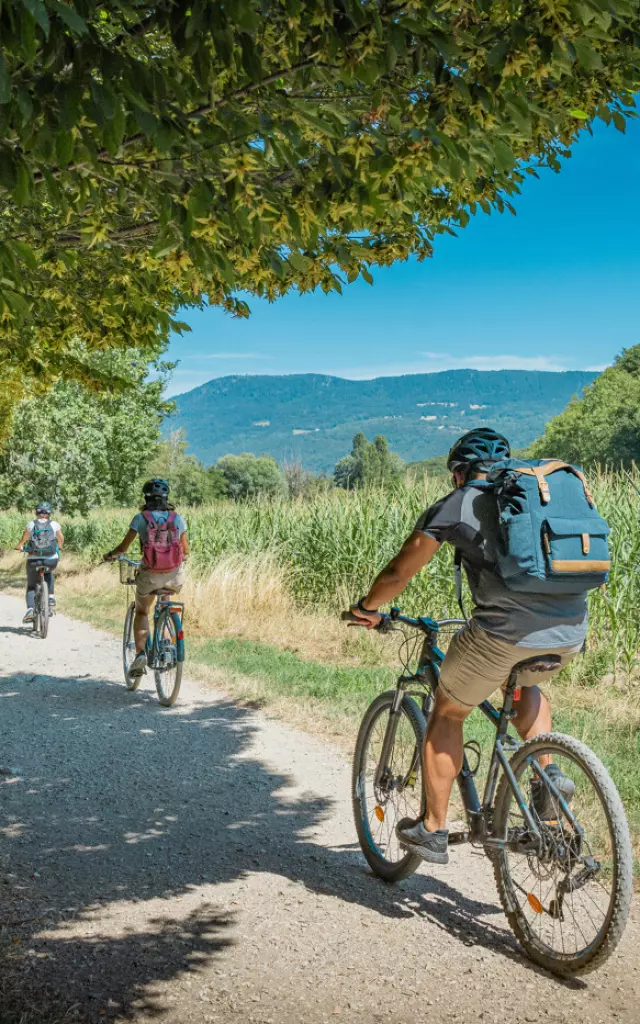 Groupe de cycliste sur un chemin en train de longer un champ de maïs avec les Voirons en ligne de mire.