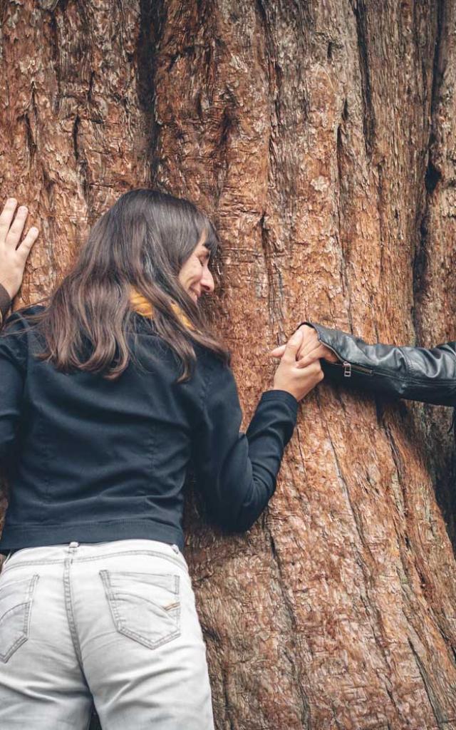 Teamsconnect Nature Race