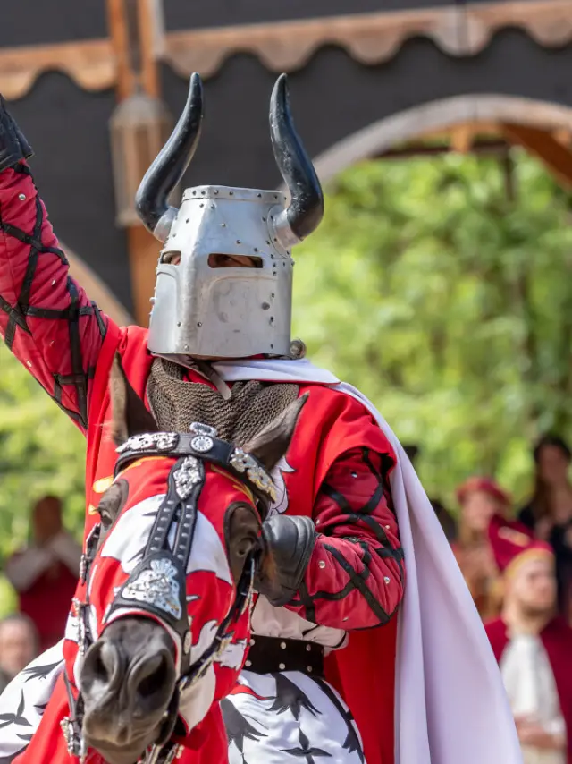 Les Grandes Médiévales d'Andilly