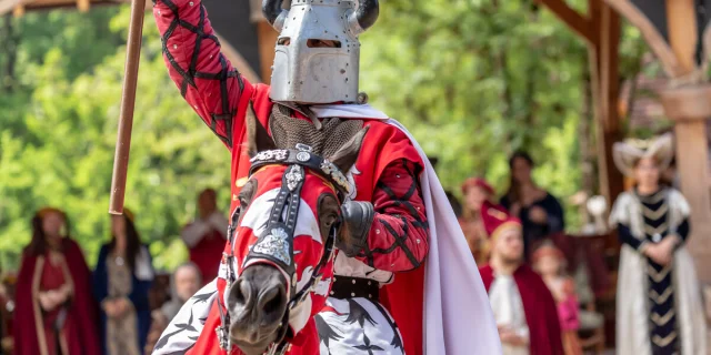 Le Grandes Médiévales d'Andilly