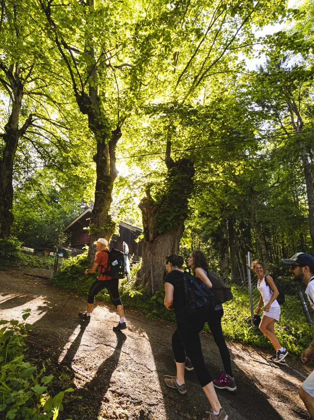 Ufficio di montagna di Salève